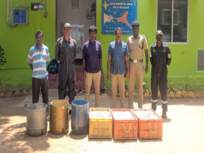 Indian Coast Guard Seizes 280kg of Sea Cucumbers in Smuggling Operation