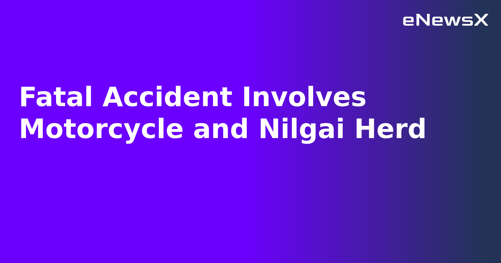 Fatal Accident Involves Motorcycle and Nilgai Herd
