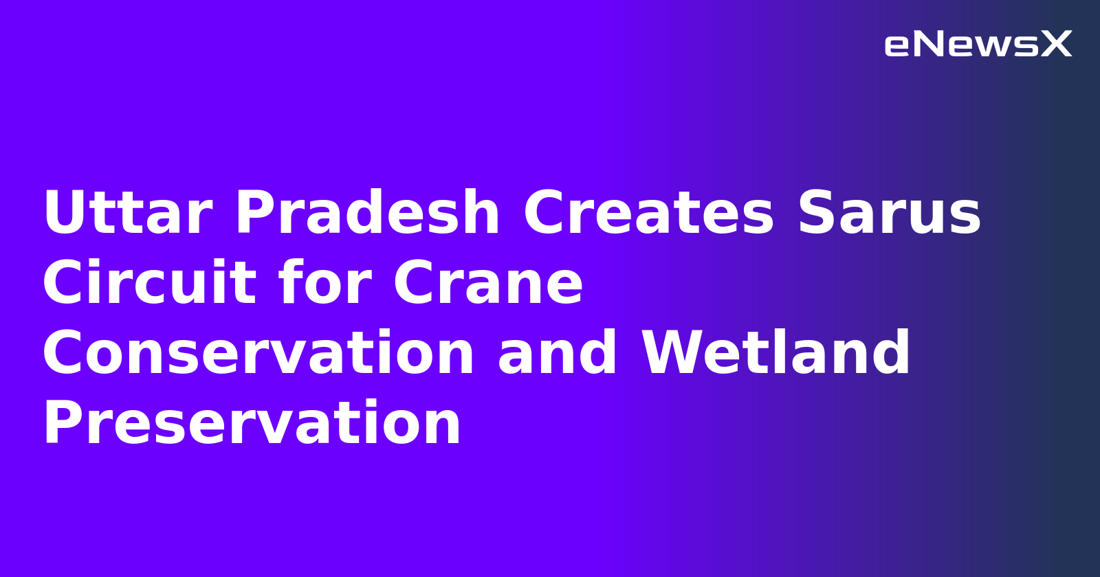 Uttar Pradesh Creates Sarus Circuit for Crane Conservation and Wetland Preservation.webp