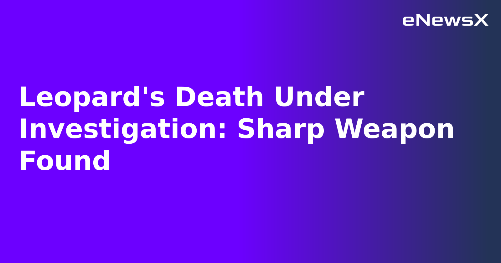 Leopard's Death Under Investigation: Sharp Weapon Found.webp