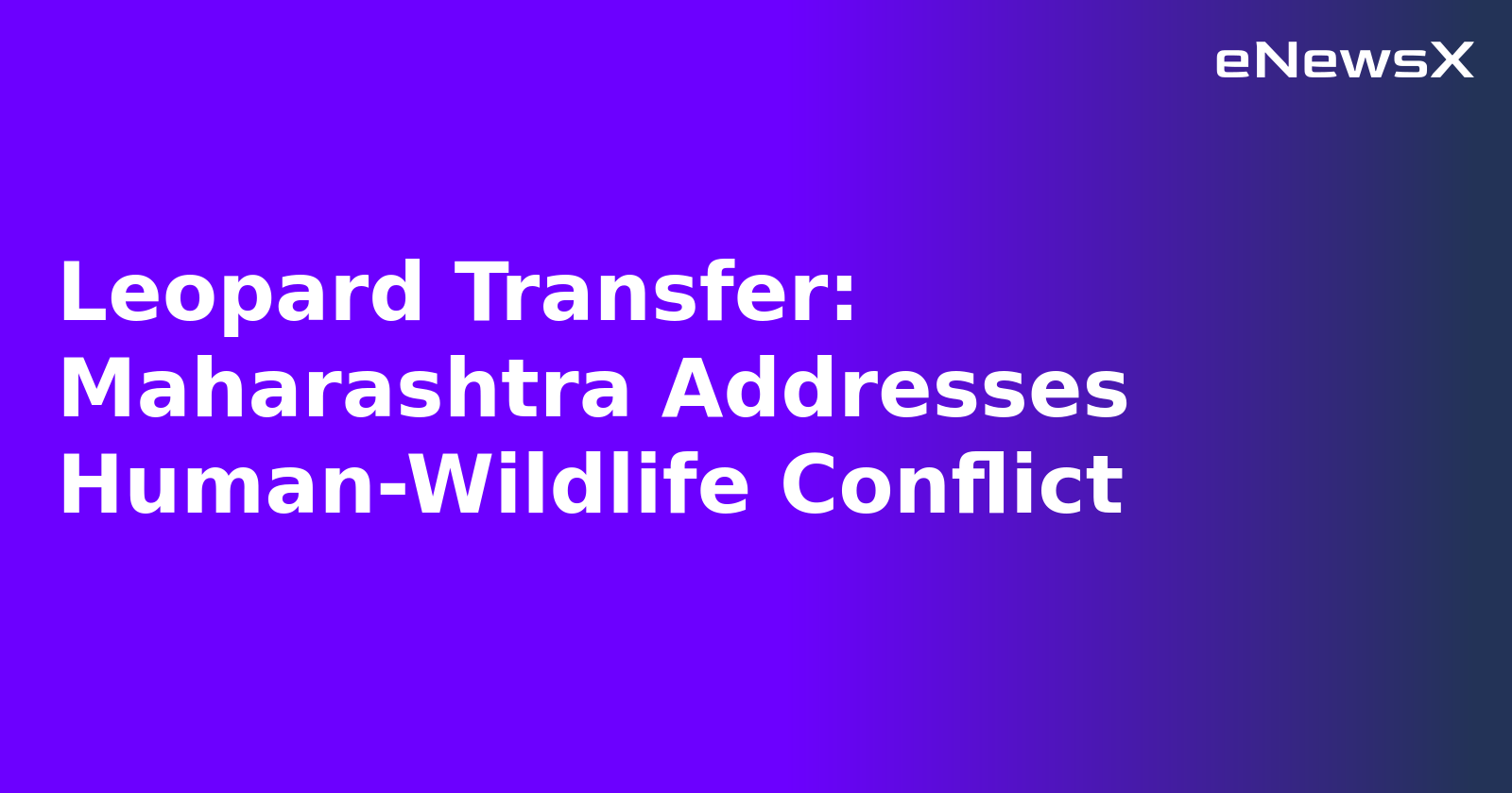 Leopard Transfer: Maharashtra Addresses Human-Wildlife Conflict.webp