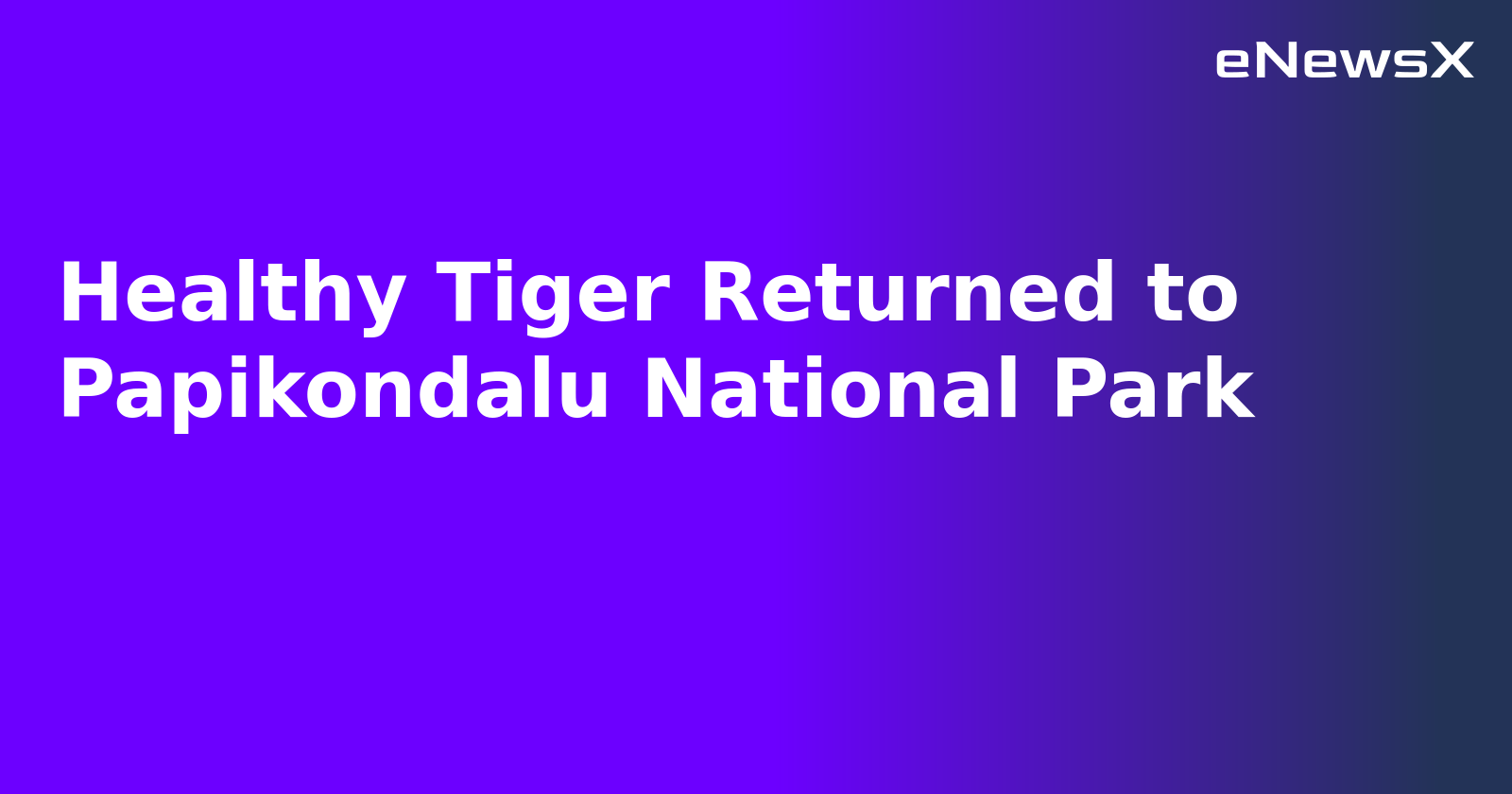 Healthy Tiger Returned to Papikondalu National Park.webp