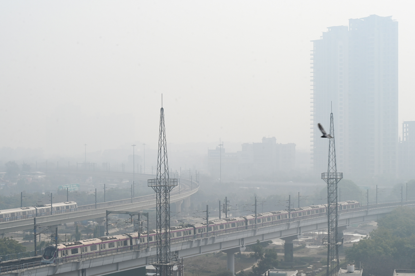 Punjab, Haryana, Uttar Pradesh to Eliminate Wheat Stubble Burning.webp