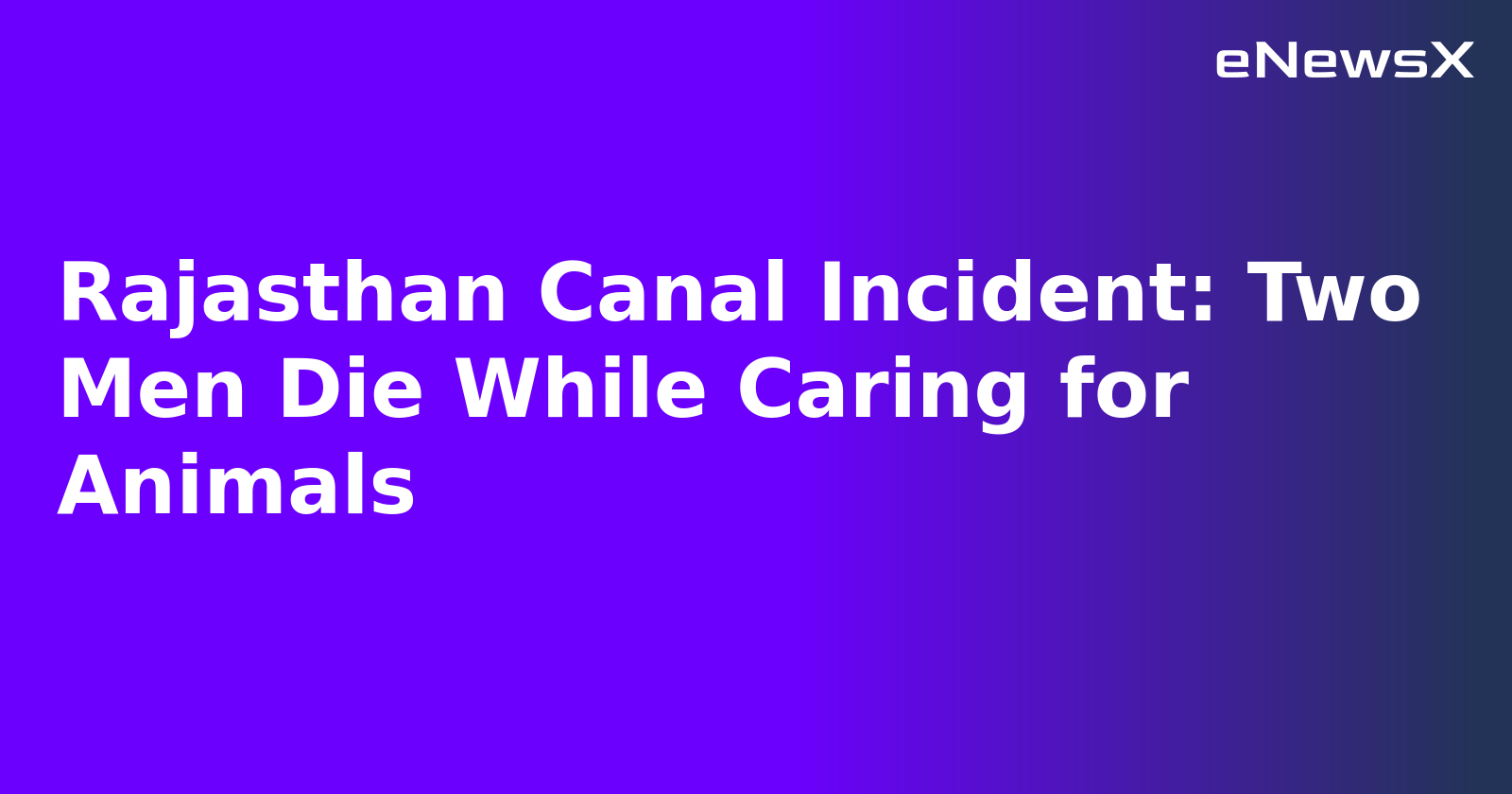 Rajasthan Canal Incident: Two Men Die While Caring for Animals