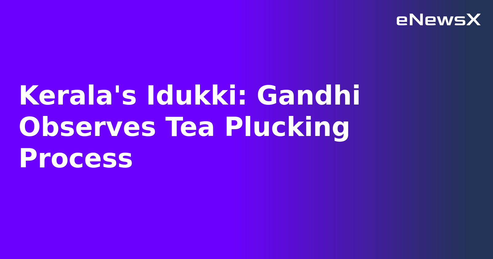 Kerala's Idukki: Gandhi Observes Tea Plucking Process.webp