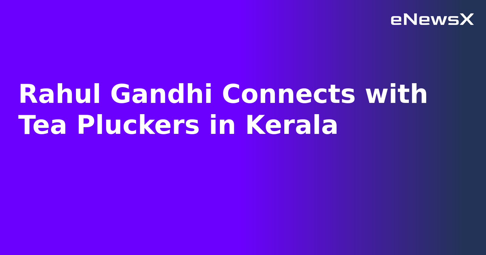 Rahul Gandhi Connects with Tea Pluckers in Kerala.webp