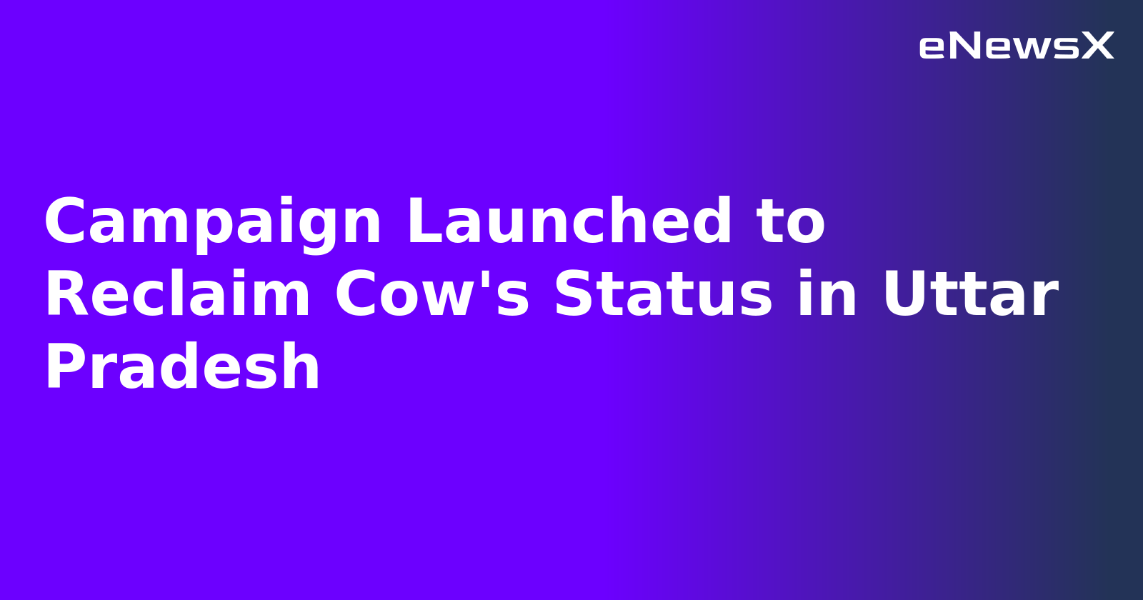 Campaign Launched to Reclaim Cow's Status in Uttar Pradesh.webp
