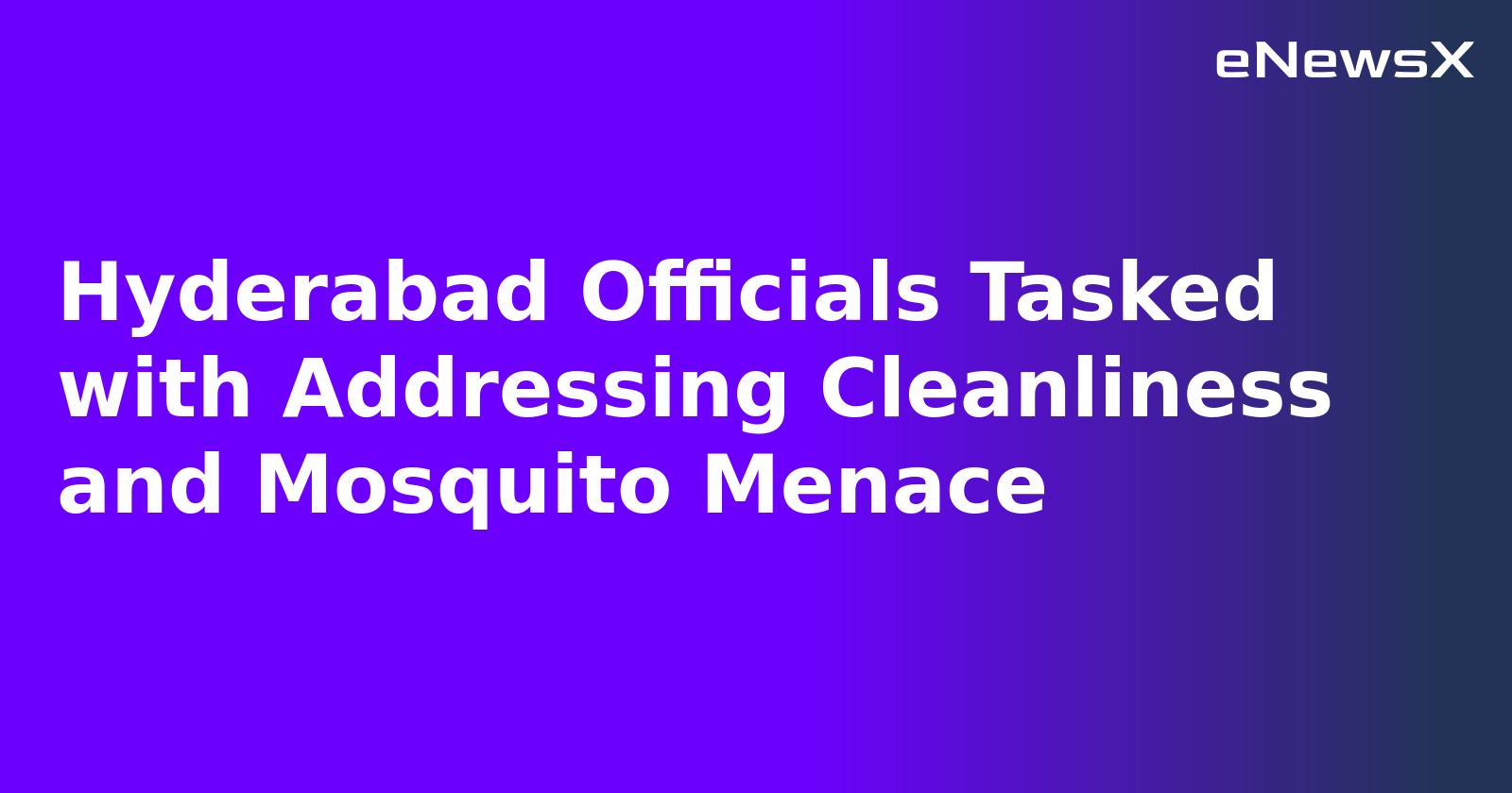 Hyderabad Officials Tasked with Addressing Cleanliness and Mosquito Menace