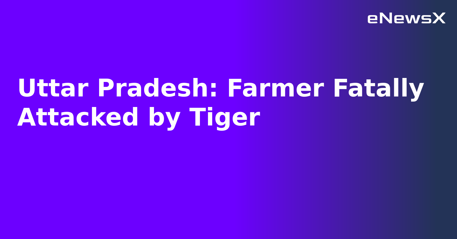 Uttar Pradesh: Farmer Fatally Attacked by Tiger.webp