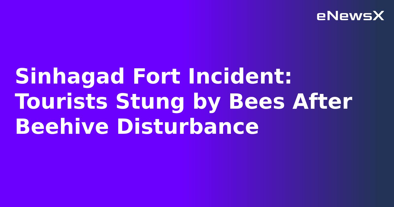 Sinhagad Fort Incident: Tourists Stung by Bees After Beehive Disturbance.webp