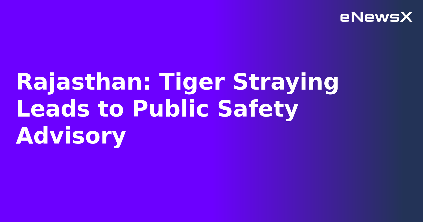 Rajasthan: Tiger Straying Leads to Public Safety Advisory.webp