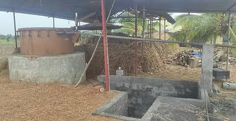 Dharmapuri's Palmarosa Crisis: Challenges and Potential Solutions.webp