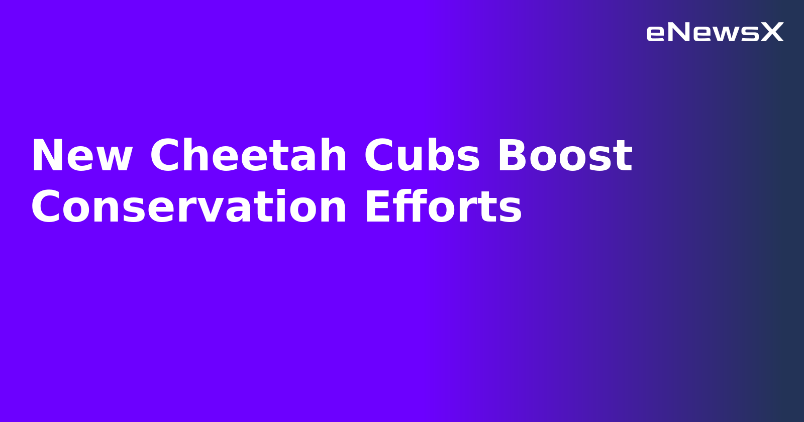 New Cheetah Cubs Boost Conservation Efforts