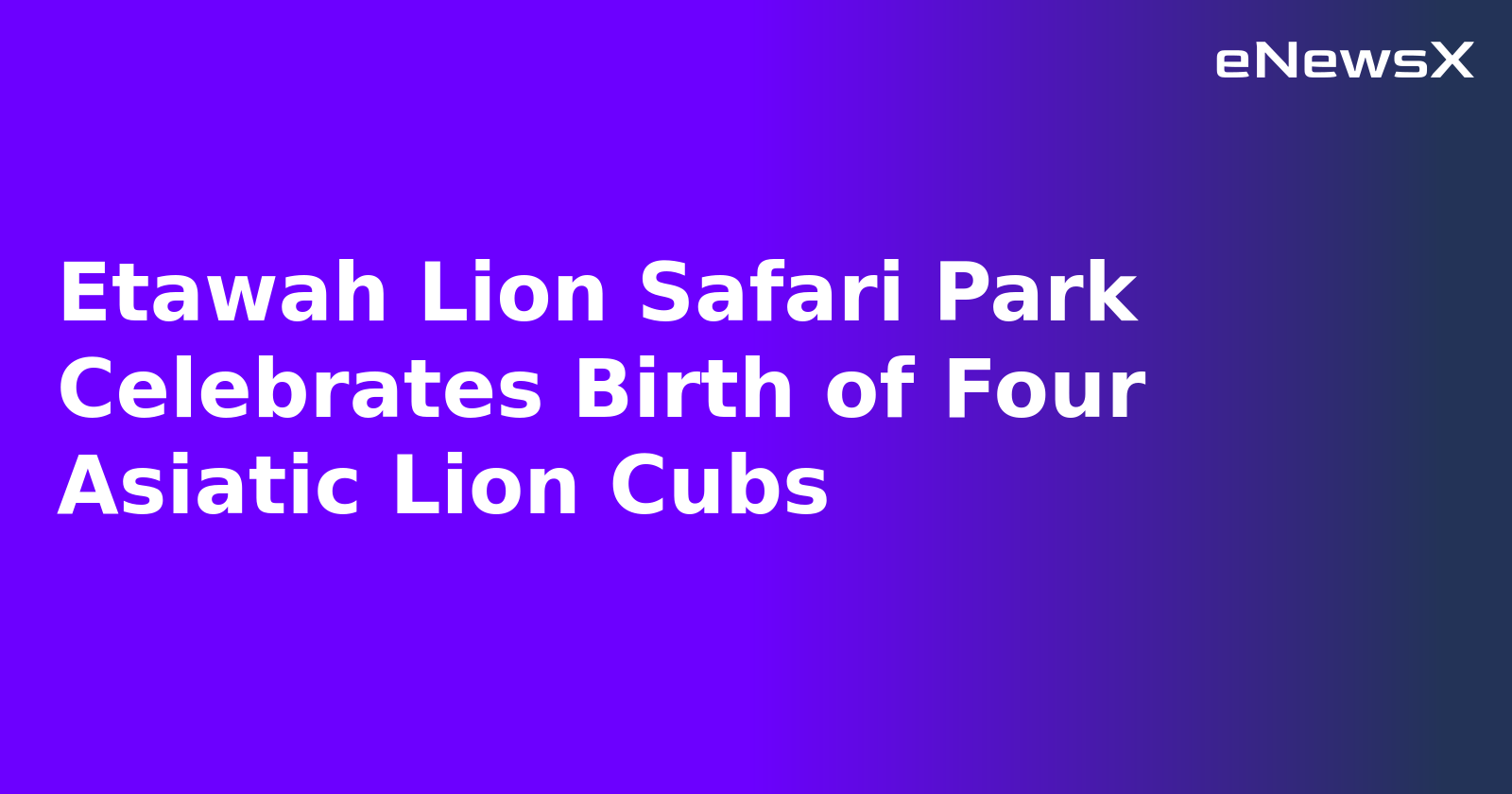 Etawah Lion Safari Park Celebrates Birth of Four Asiatic Lion Cubs.webp