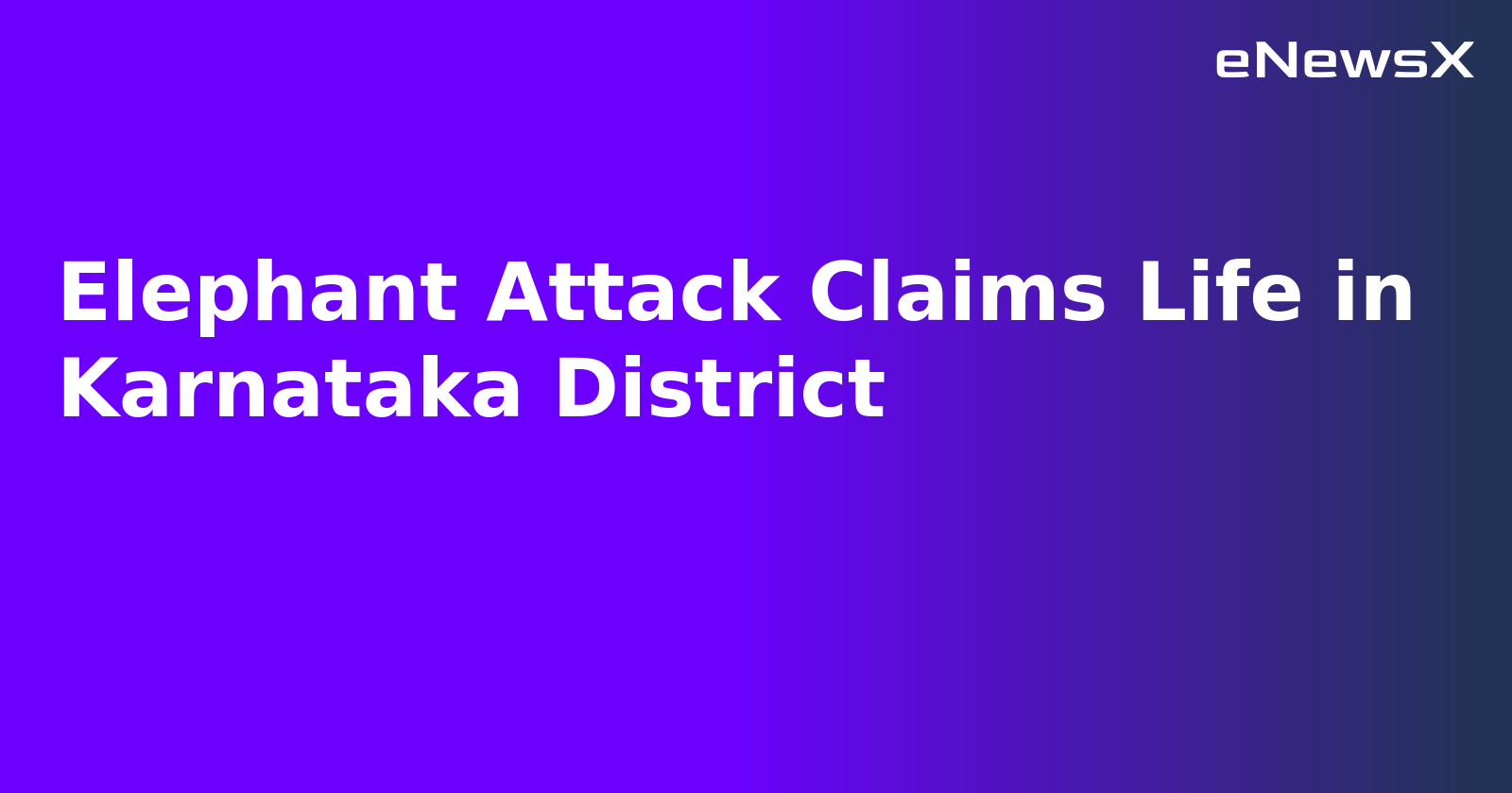 Elephant Attack Claims Life in Karnataka District.webp