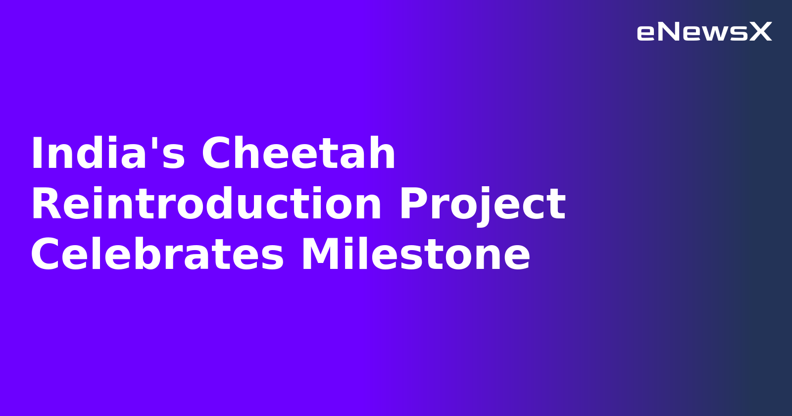 India's Cheetah Reintroduction Project Celebrates Milestone