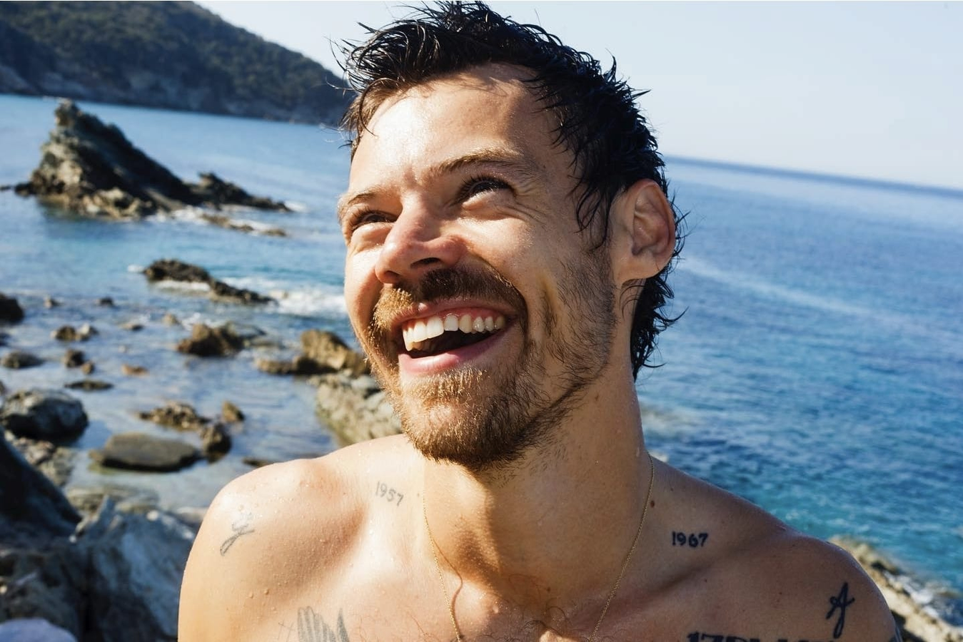 From One Direction to Private Life: Harry Styles Reflects.webp