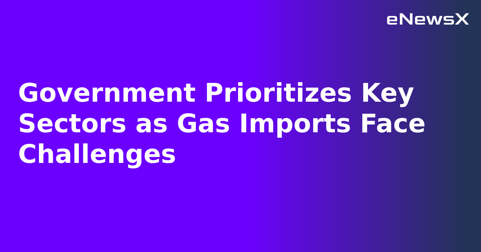 Government Prioritizes Key Sectors as Gas Imports Face Challenges.webp