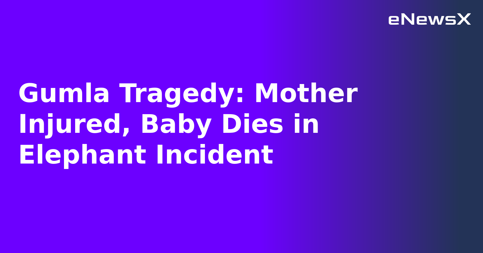 Gumla Tragedy: Mother Injured, Baby Dies in Elephant Incident