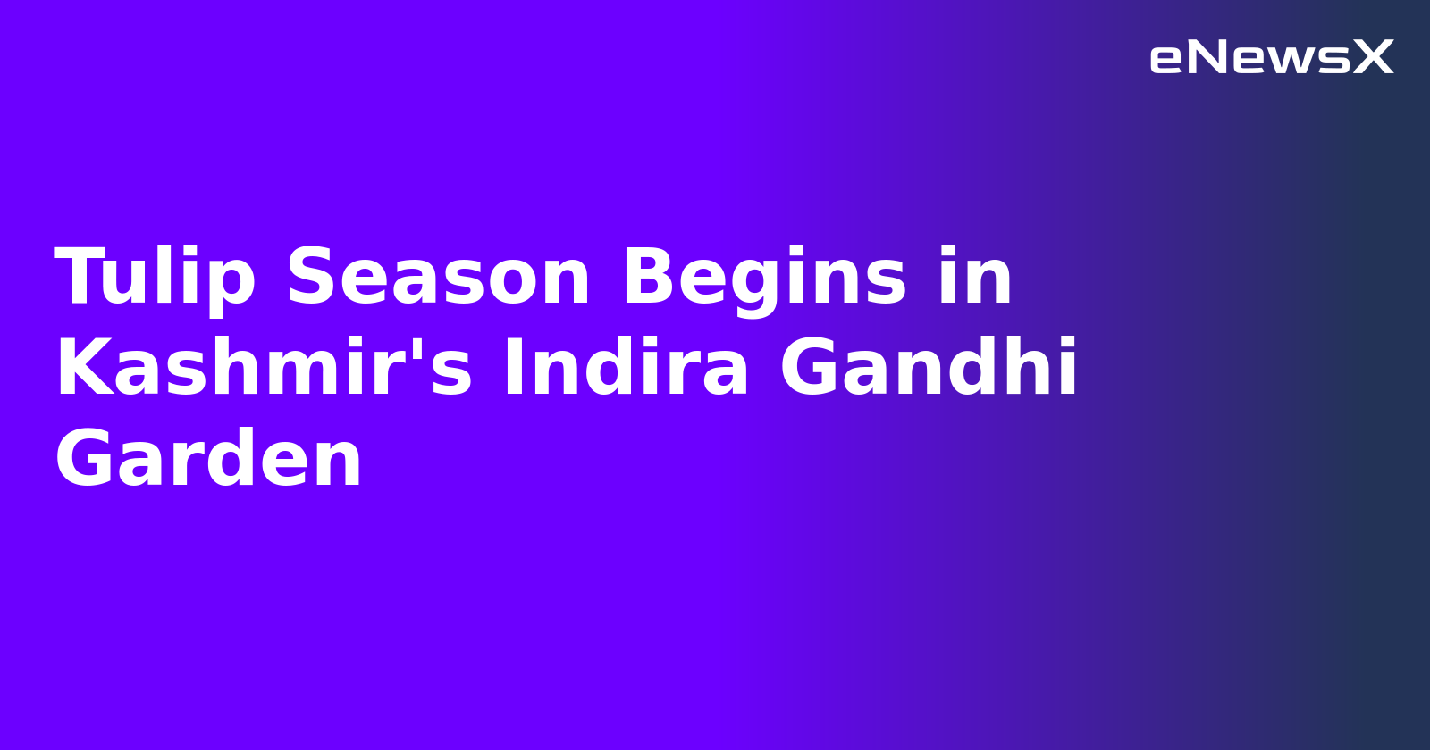 Tulip Season Begins in Kashmir's Indira Gandhi Garden.webp