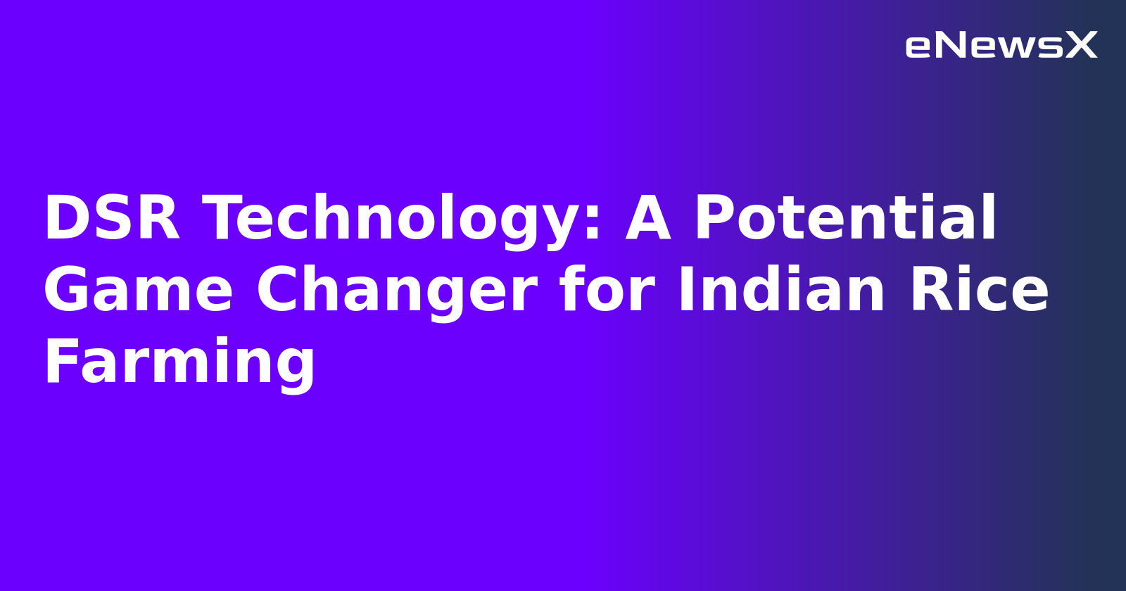 DSR Technology: A Potential Game Changer for Indian Rice Farming.webp