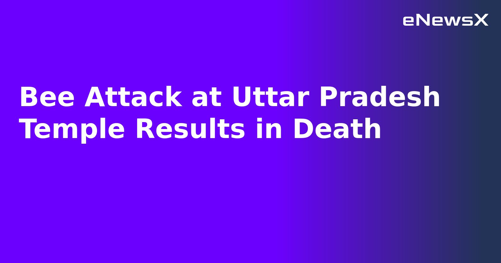 Bee Attack at Uttar Pradesh Temple Results in Death.webp
