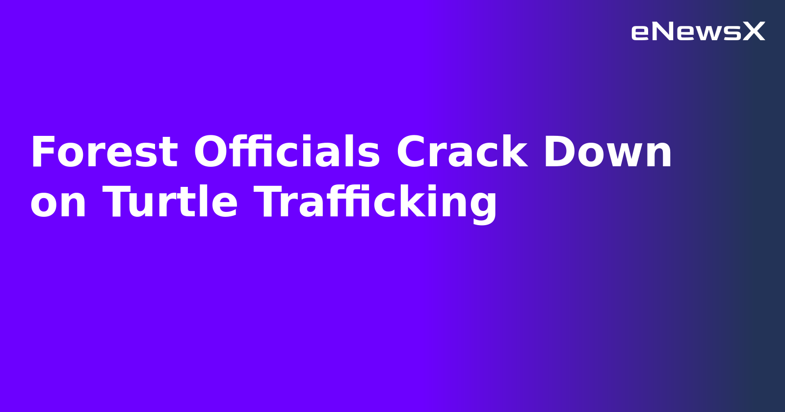 Forest Officials Crack Down on Turtle Trafficking.webp