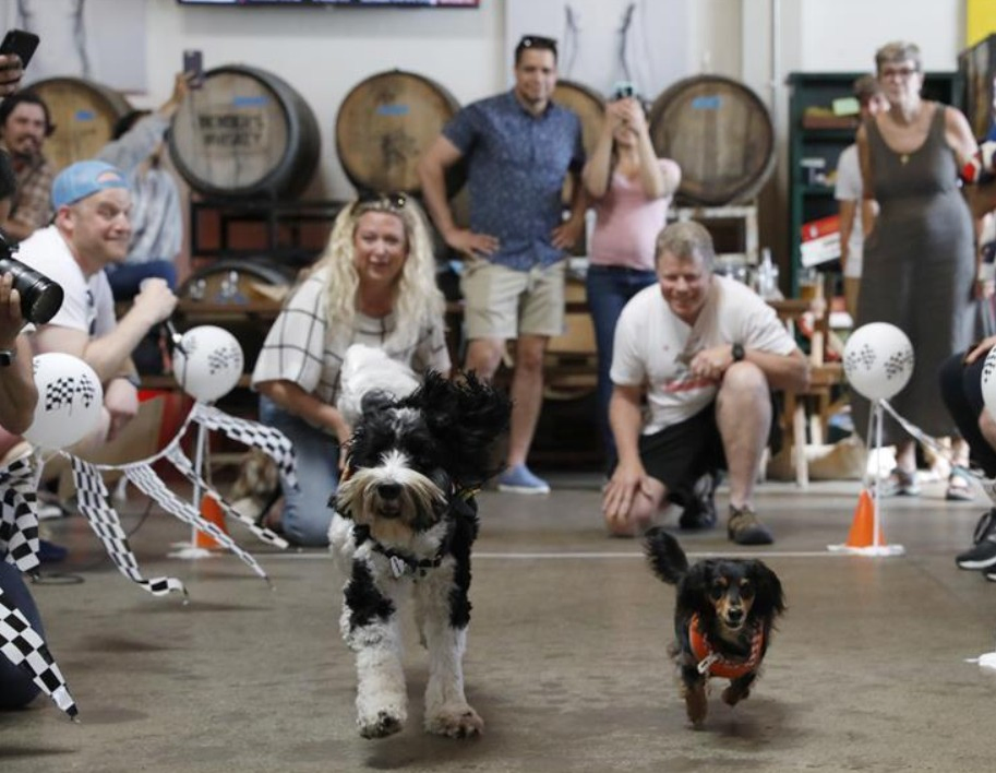 Record Pet Spending Coincides with Rising Costs for Small Businesses.webp