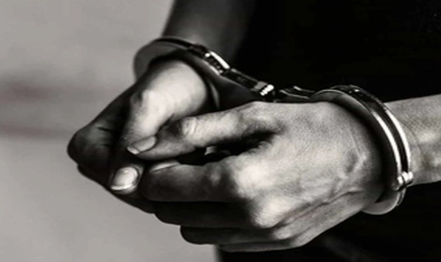 Illegal Turtle Trade: Madhya Pradesh Authorities Arrest Key Suspect.webp