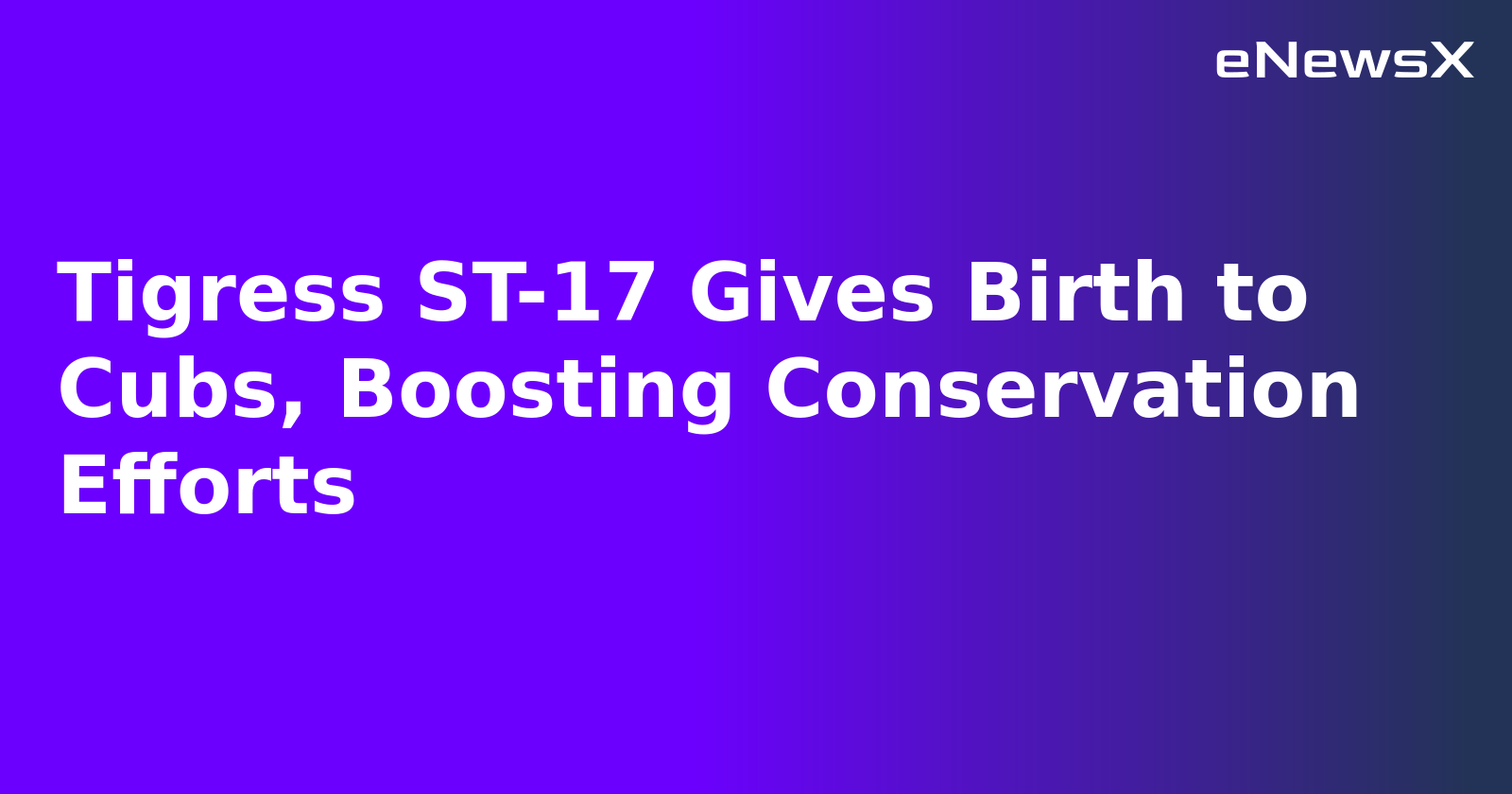 Tigress ST-17 Gives Birth to Cubs, Boosting Conservation Efforts.webp Tigress ST-17 Gives Birth to Cubs, Boosting Conservation Efforts.webp