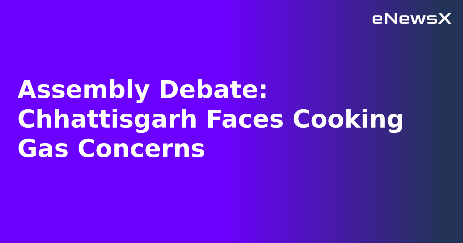 Assembly Debate: Chhattisgarh Faces Cooking Gas Concerns