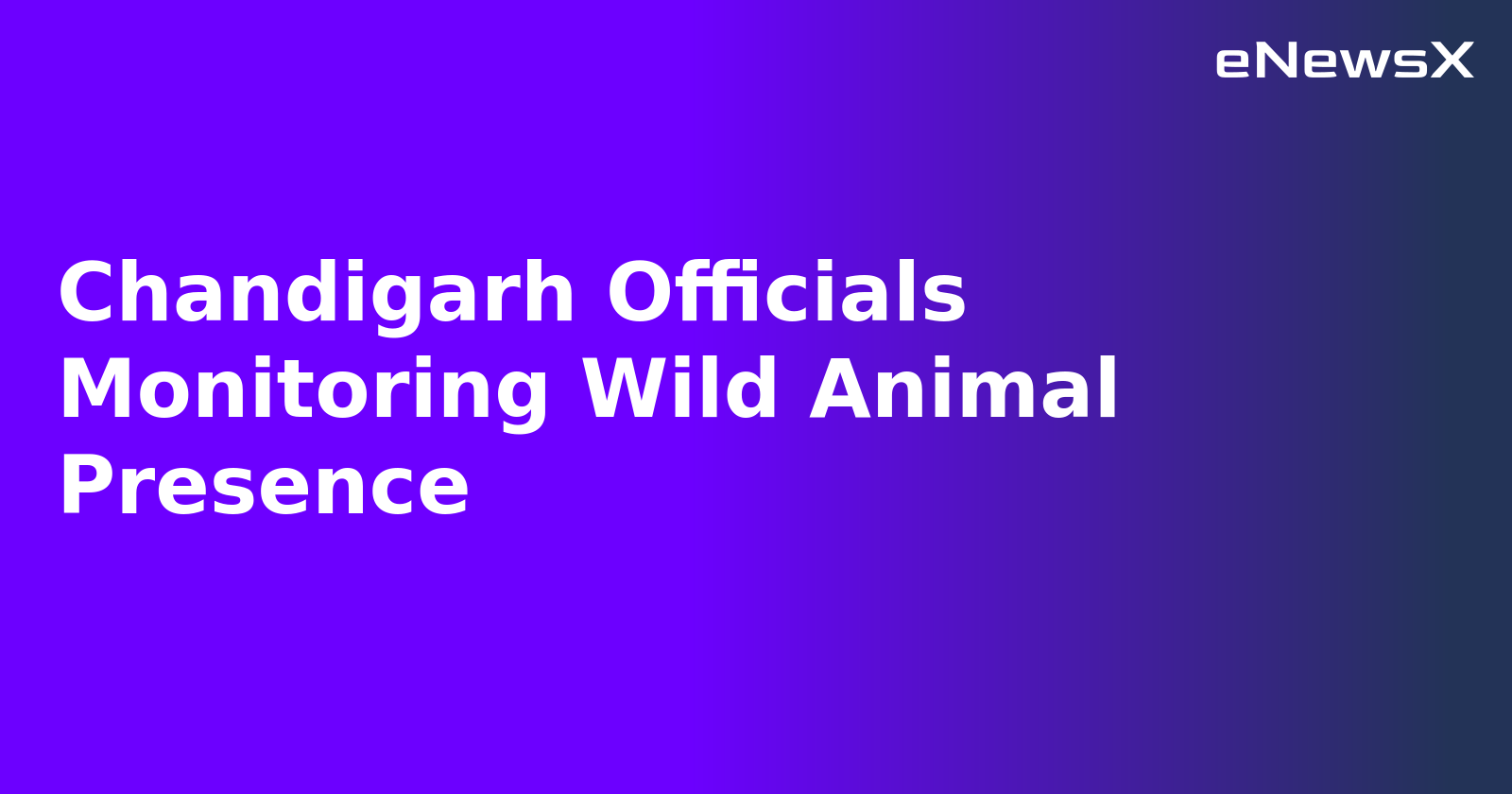 Chandigarh Officials Monitoring Wild Animal Presence.webp