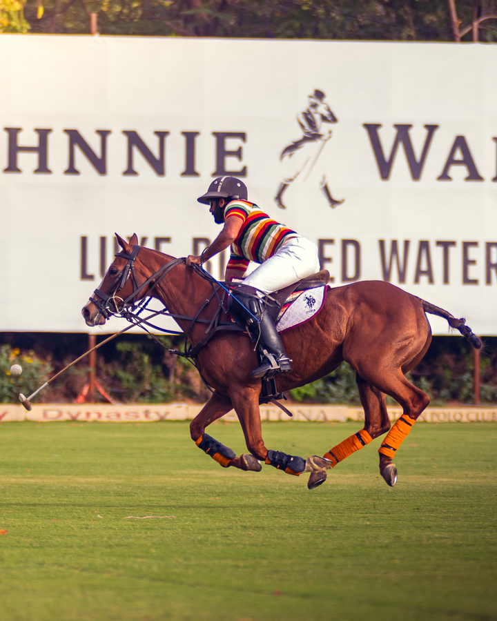 Jaipur Polo Wins Shree Cement Cup.webp