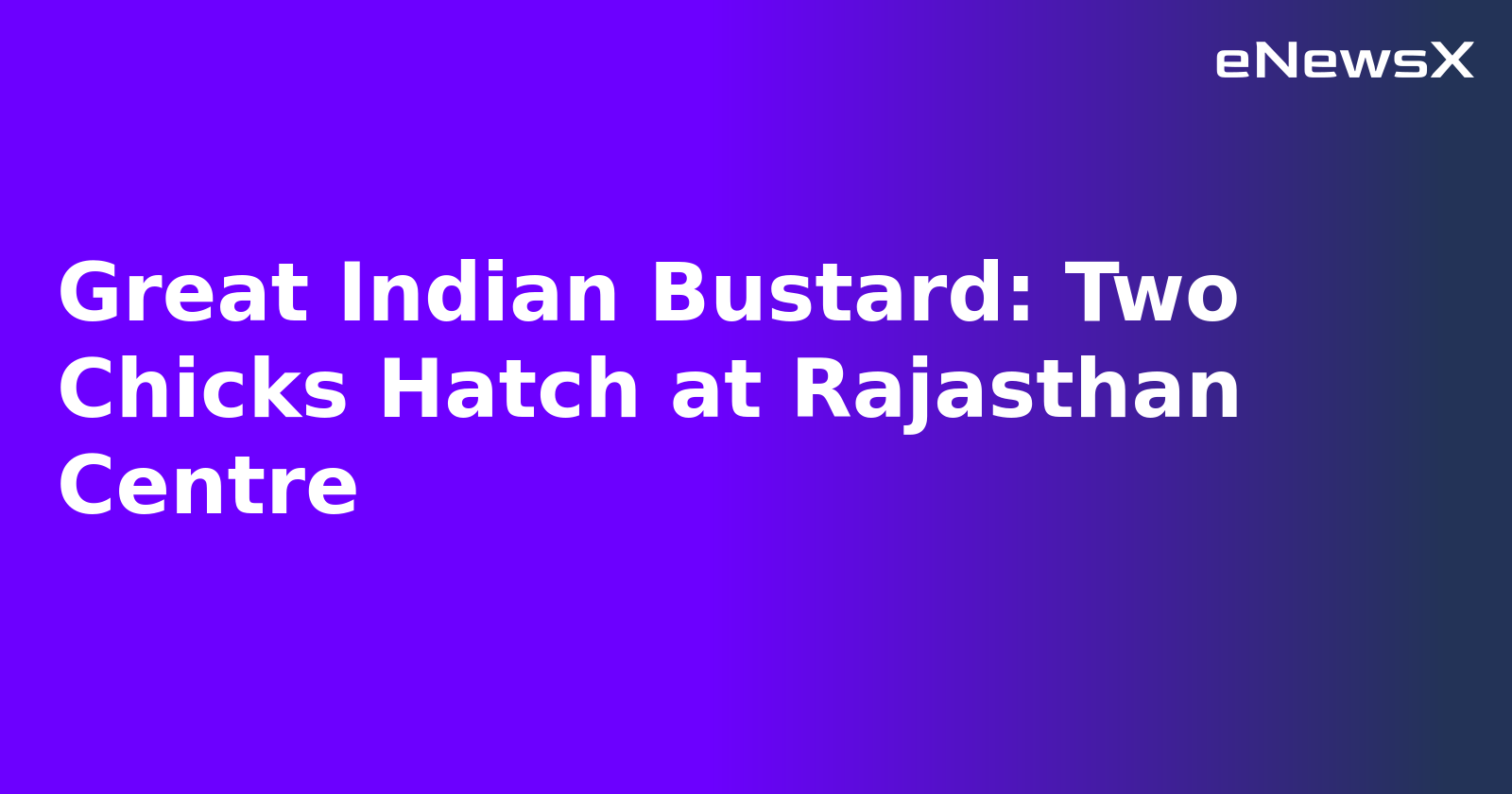 Great Indian Bustard: Two Chicks Hatch at Rajasthan Centre.webp