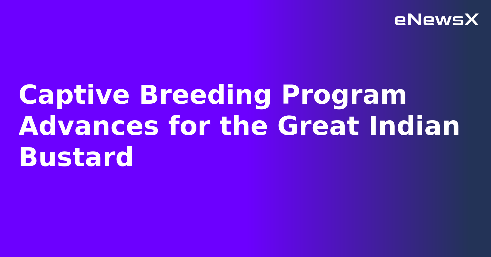 Captive Breeding Program Advances for the Great Indian Bustard.webp
