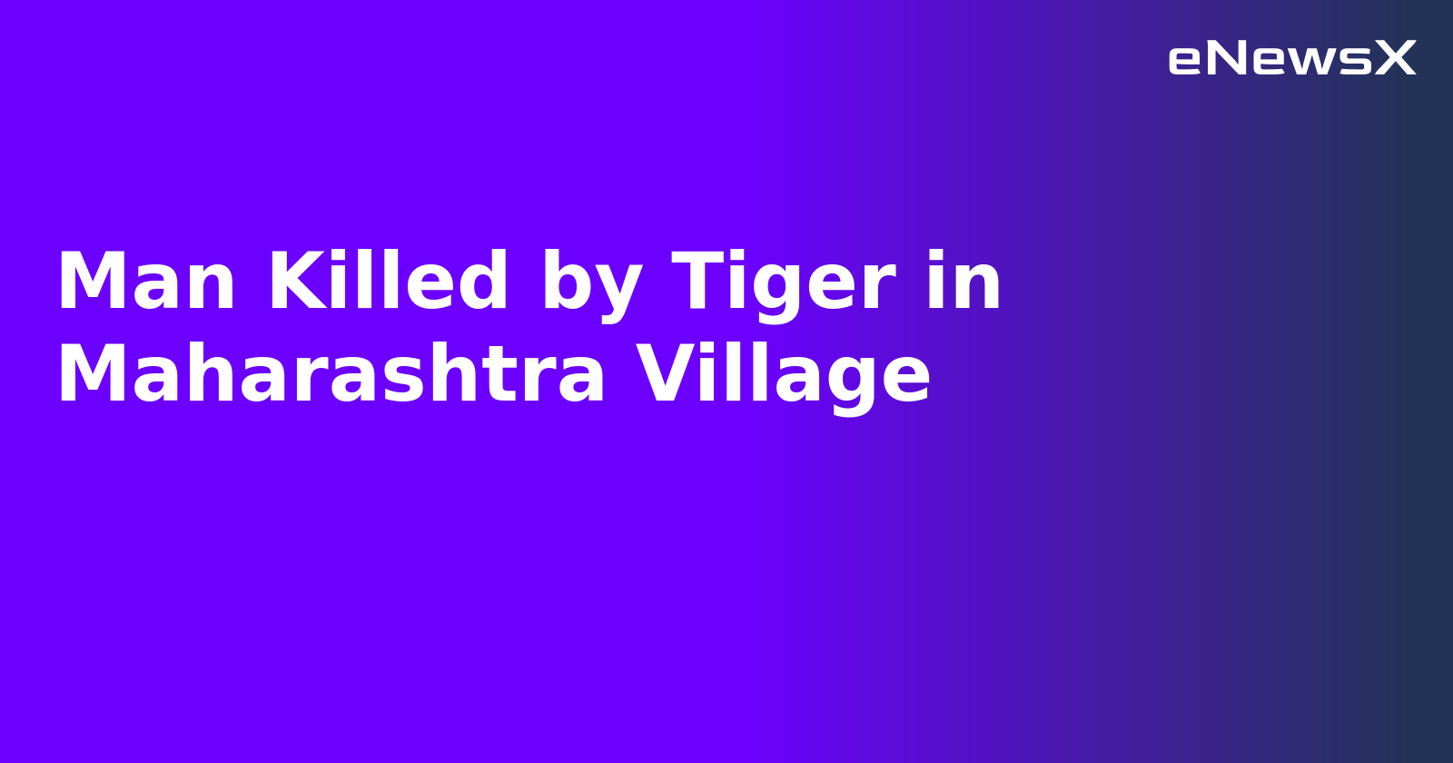 Man Killed by Tiger in Maharashtra Village.webp
