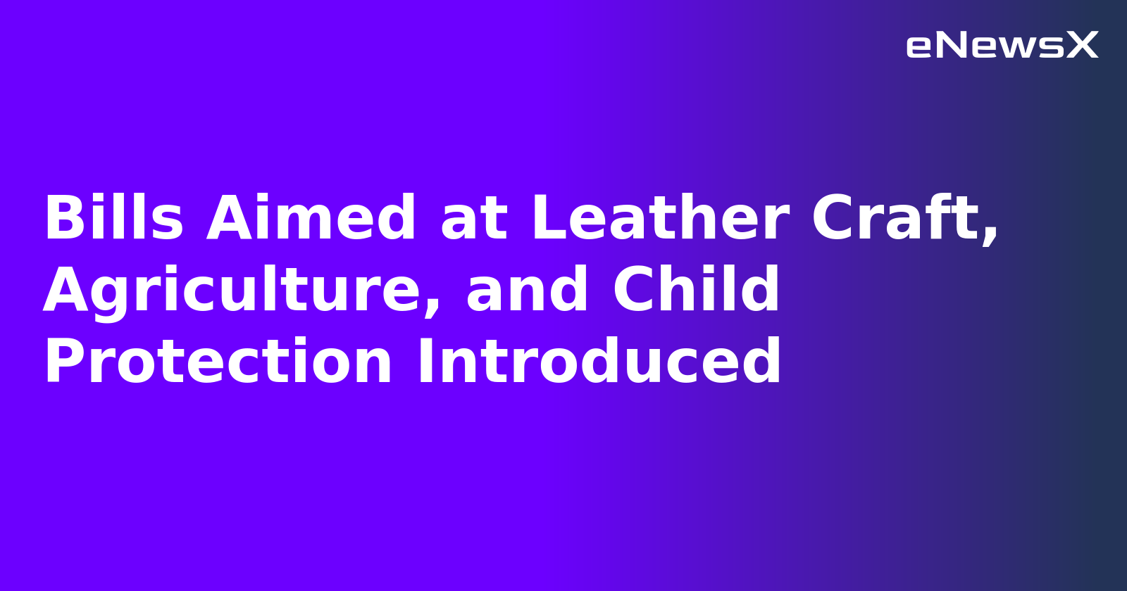 Bills Aimed at Leather Craft, Agriculture, and Child Protection Introduced.webp