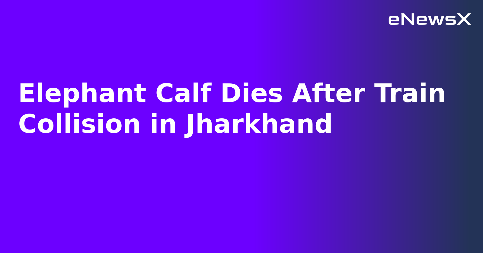Elephant Calf Dies After Train Collision in Jharkhand.webp Elephant Calf Dies After Train Collision in Jharkhand.webp