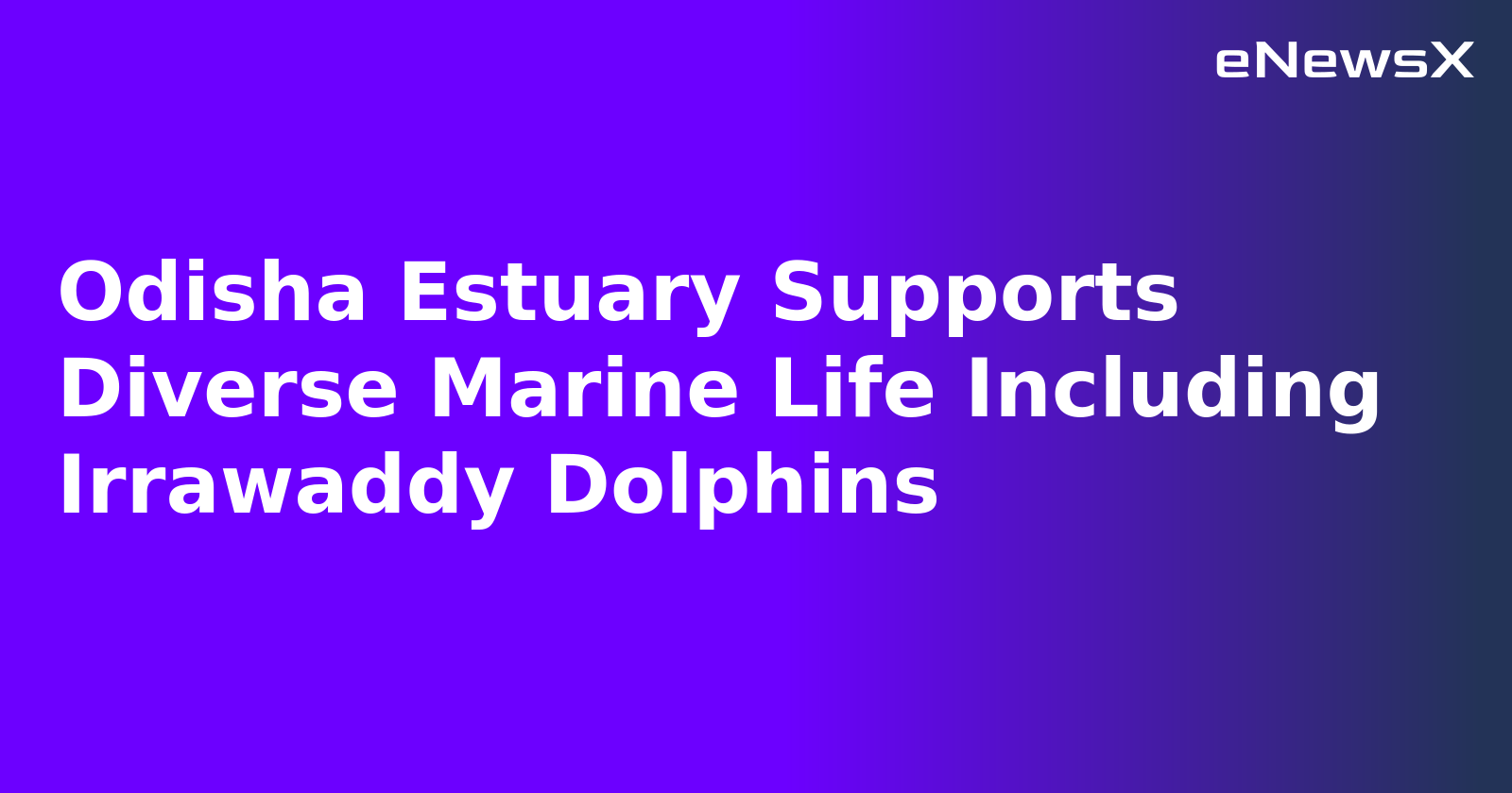 Odisha Estuary Supports Diverse Marine Life Including Irrawaddy Dolphins.webp