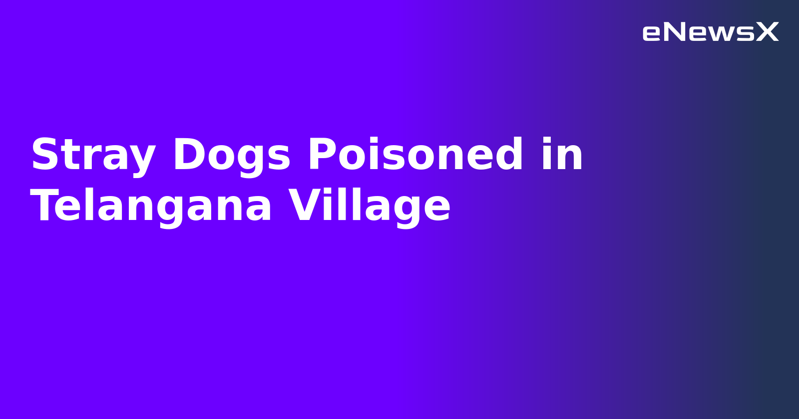 Stray Dogs Poisoned in Telangana Village.webp