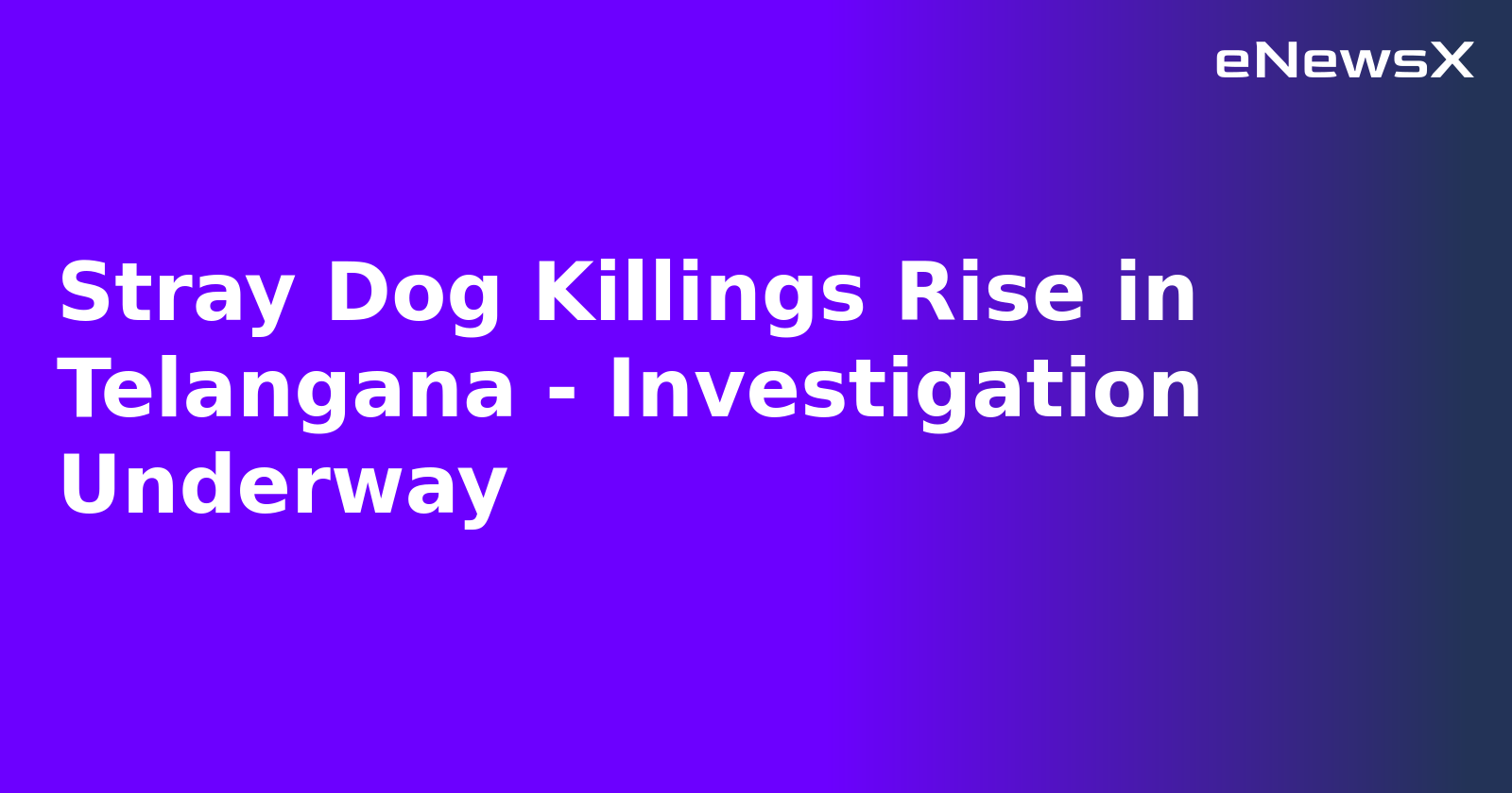 Stray Dog Killings Rise in Telangana - Investigation Underway.webp