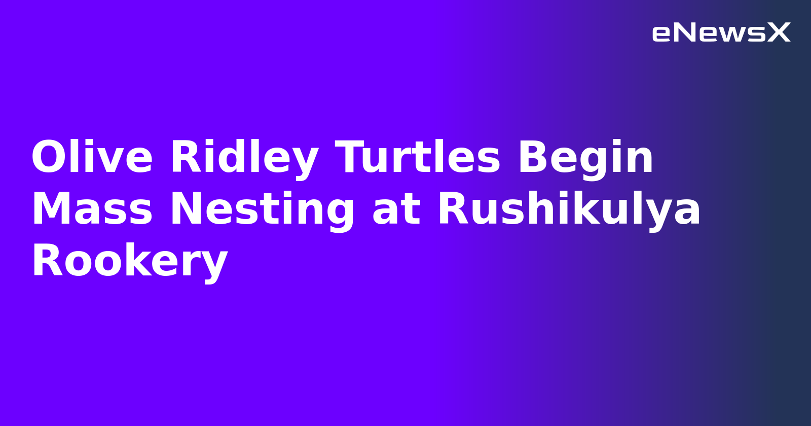 Olive Ridley Turtles Begin Mass Nesting at Rushikulya Rookery.webp Olive Ridley Turtles Begin Mass Nesting at Rushikulya Rookery.webp