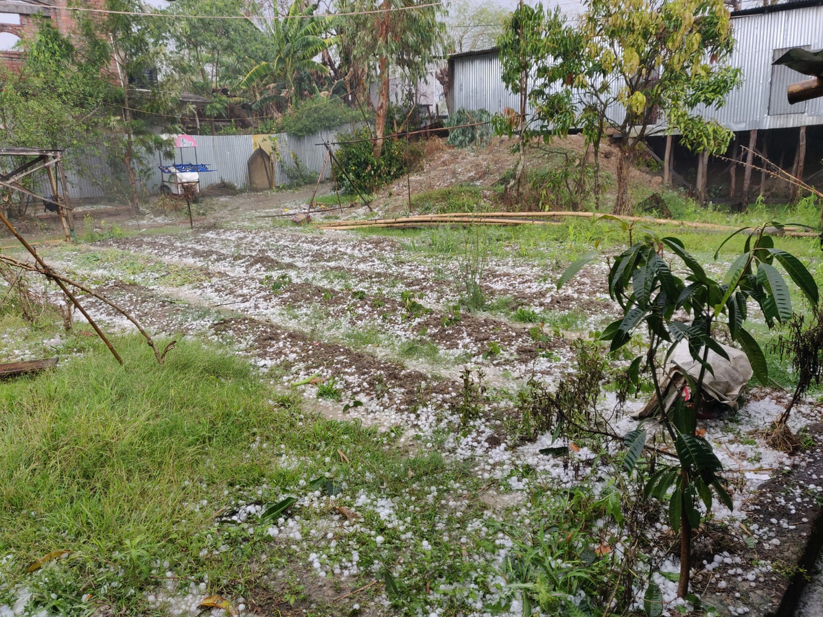 Hailstorm Disrupts Meghalaya: Damage Assessment Underway.webp
