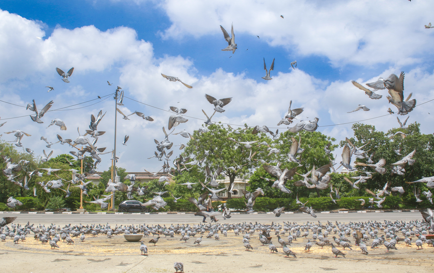 Delhi, Noida, Ghaziabad See Air Quality Boost.webp Delhi, Noida, Ghaziabad See Air Quality Boost.webp