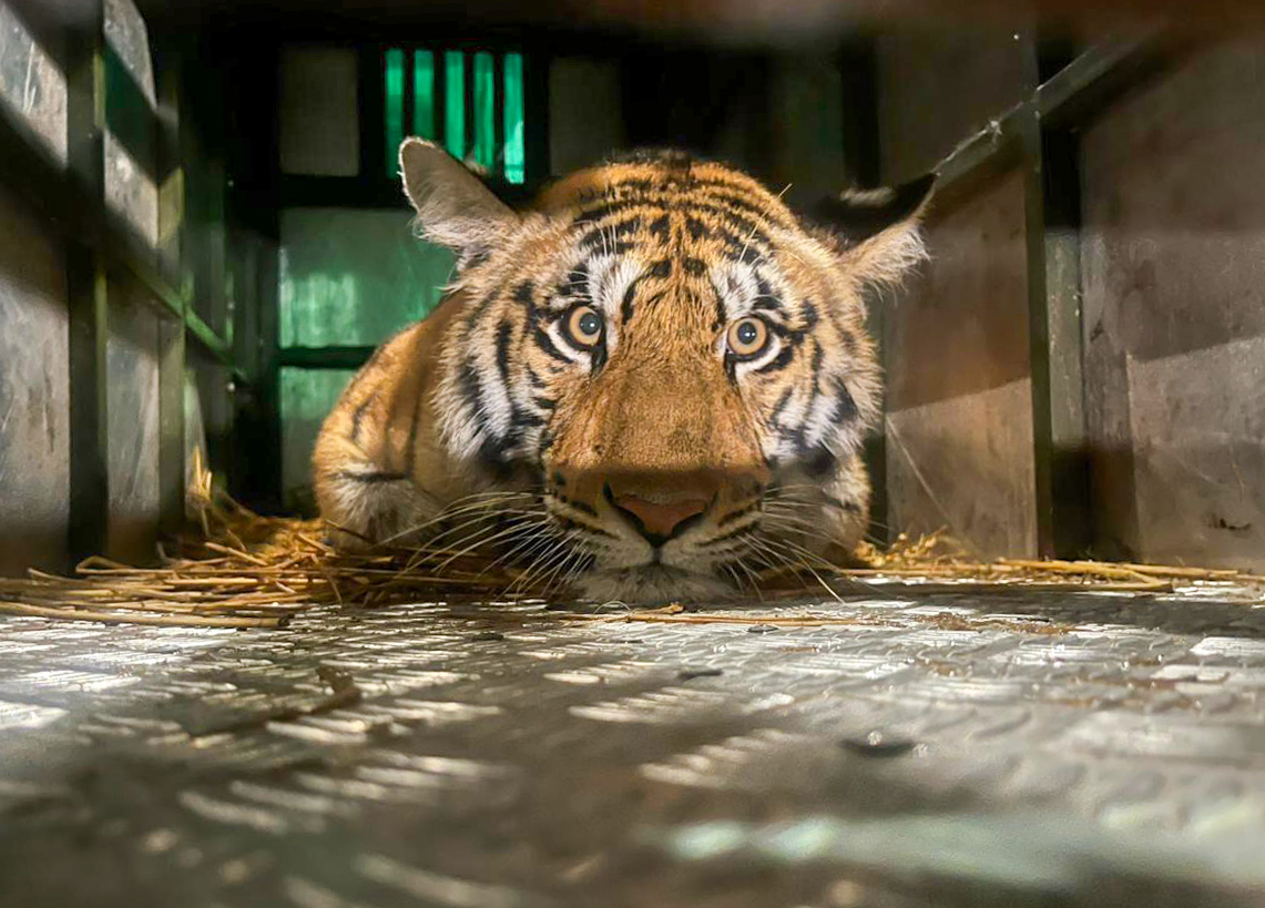 National Biodiversity Report Highlights Progress and Conservation Efforts.webp