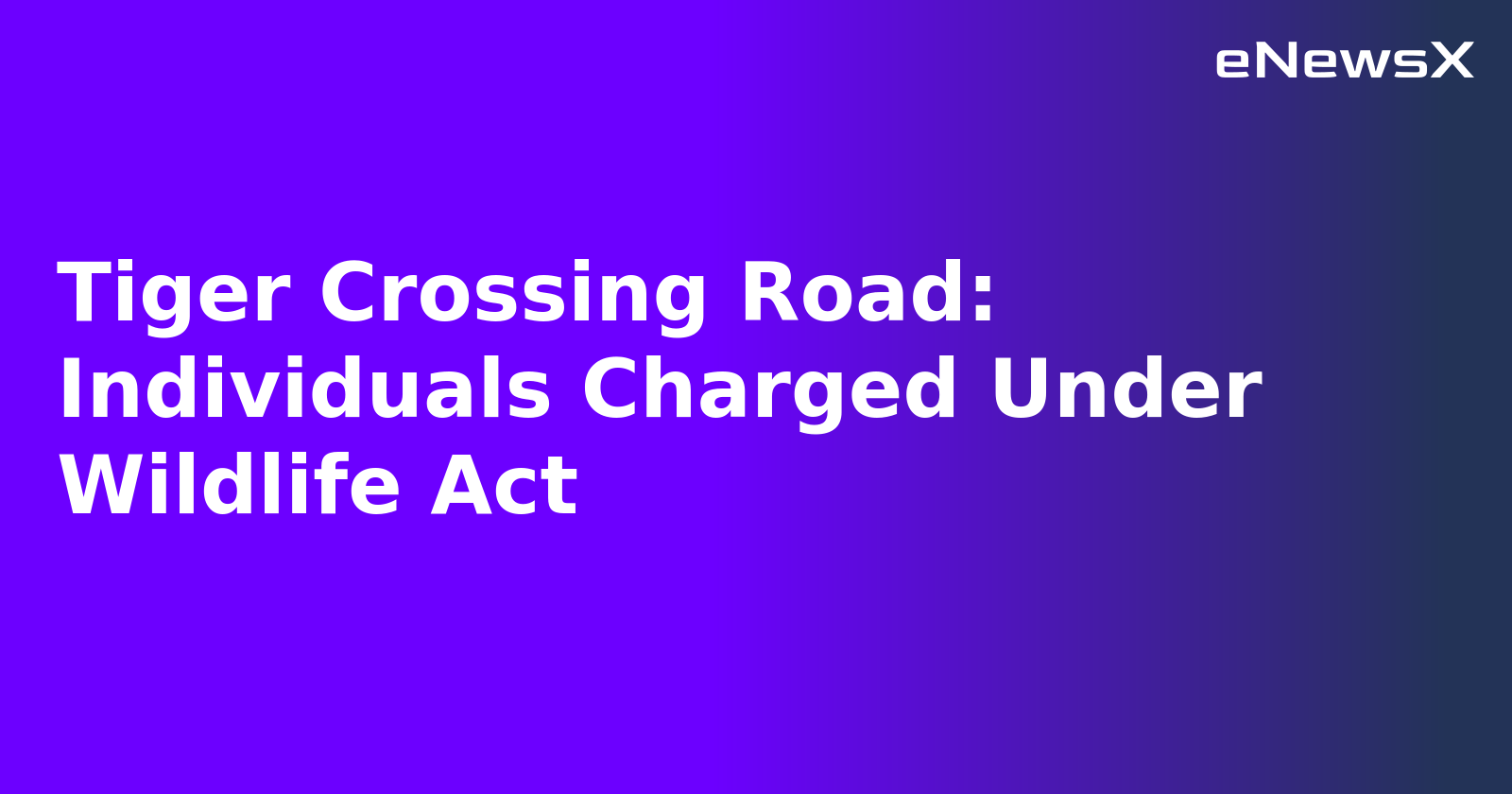 Tiger Crossing Road: Individuals Charged Under Wildlife Act.webp Tiger Crossing Road: Individuals Charged Under Wildlife Act.webp