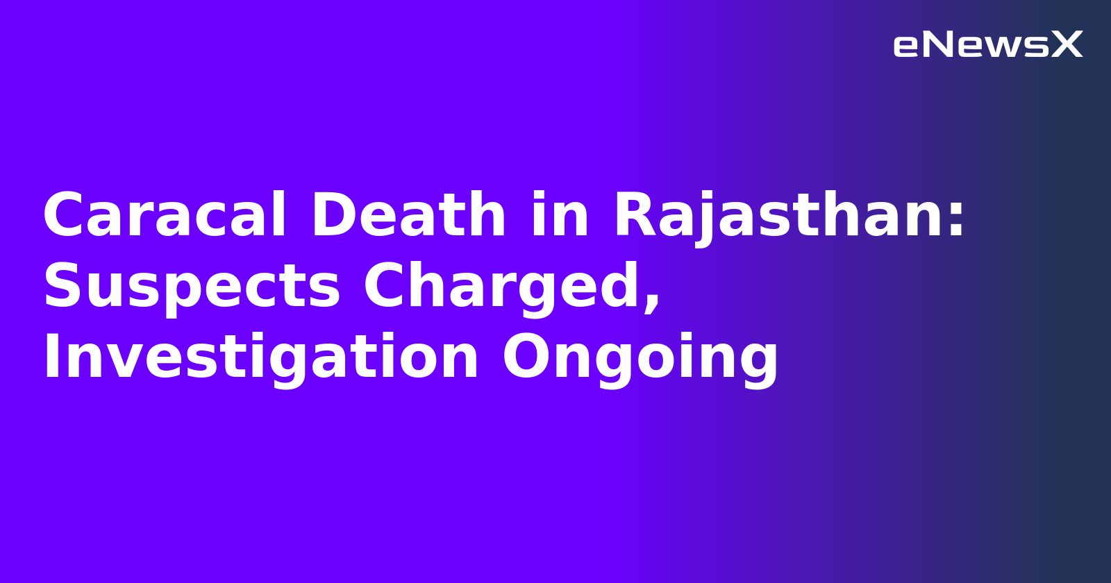 Caracal Death in Rajasthan: Suspects Charged, Investigation Ongoing.webp Caracal Death in Rajasthan: Suspects Charged, Investigation Ongoing.webp
