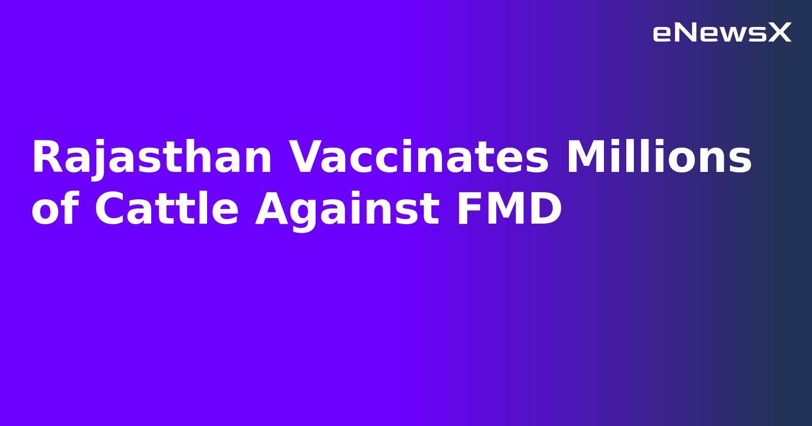 Rajasthan Vaccinates Millions of Cattle Against FMD.webp