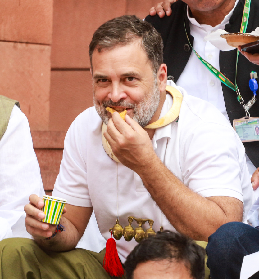 Concerns Raised: Former Officials Criticize Rahul Gandhi's Parliamentary Behavior.webp