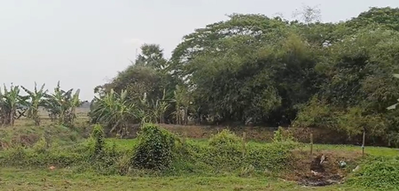 Scientific Solutions for Kushunupur: A New Era of Rural Development.webp